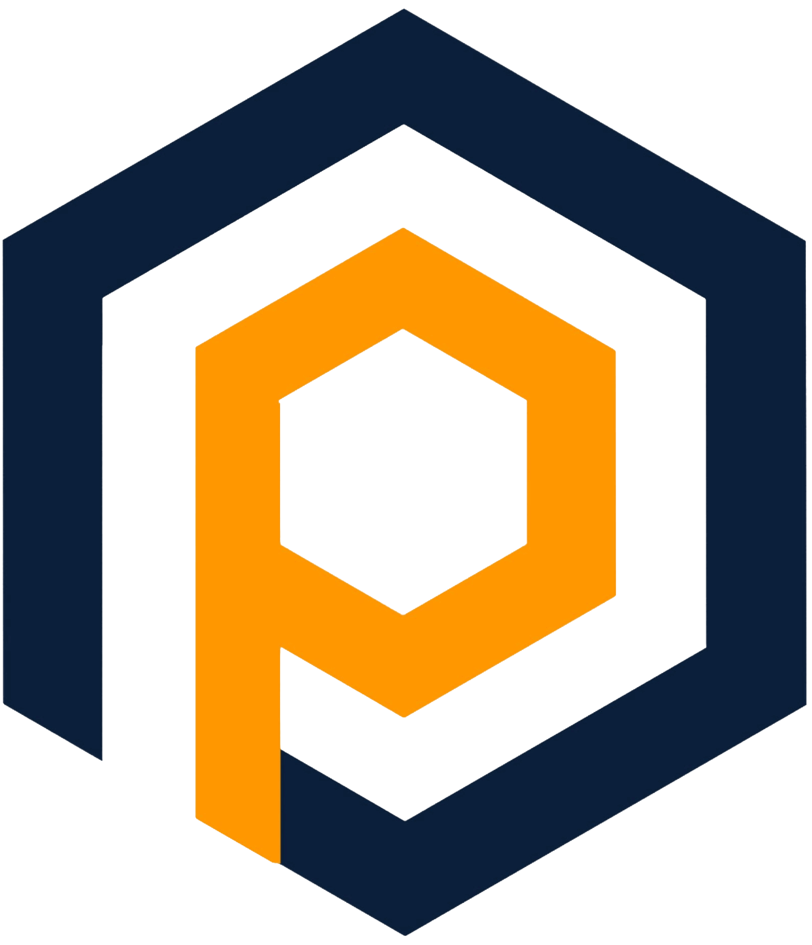 Paradigm School Logo